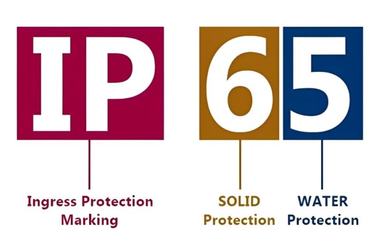 IP (2)